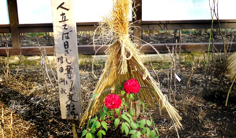 Kurse_6_800x468px_Jin-Shin-Jyutsu-Allgaeu_Riegger-Krause